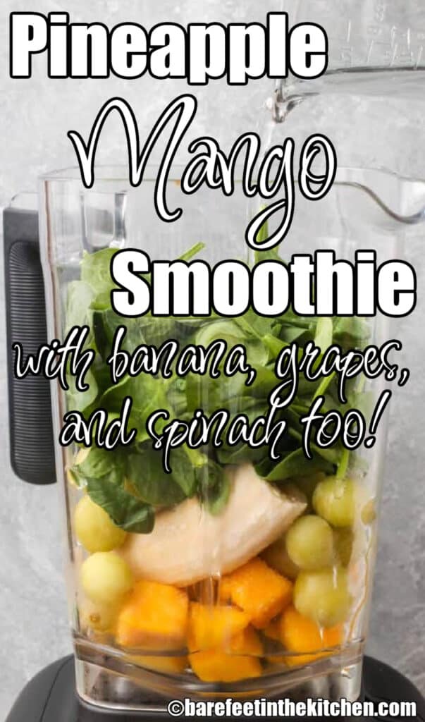 Ingredients for pineapple mango smoothie in blender