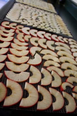 How To Dehydrate Apples recipe by Barefeet In The Kitchen