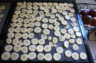 How To Dehydrate recipe by Barefeet In The Kitchen