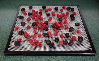 How To Dehydrate Blueberries, Blackberries and Raspberries recipe by Barefeet In The Kitchen