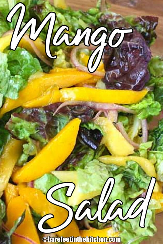 Summer Salad with Mango