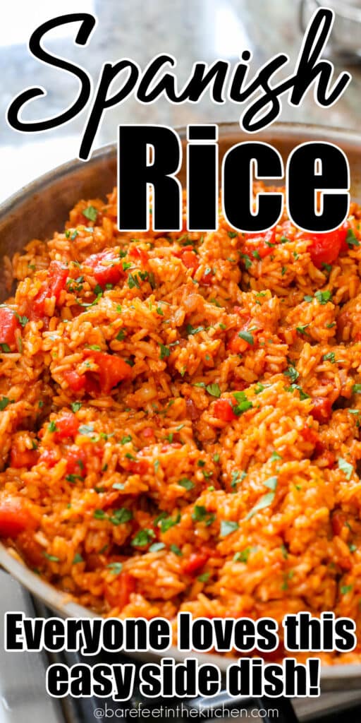Easy Spanish Rice Recipe