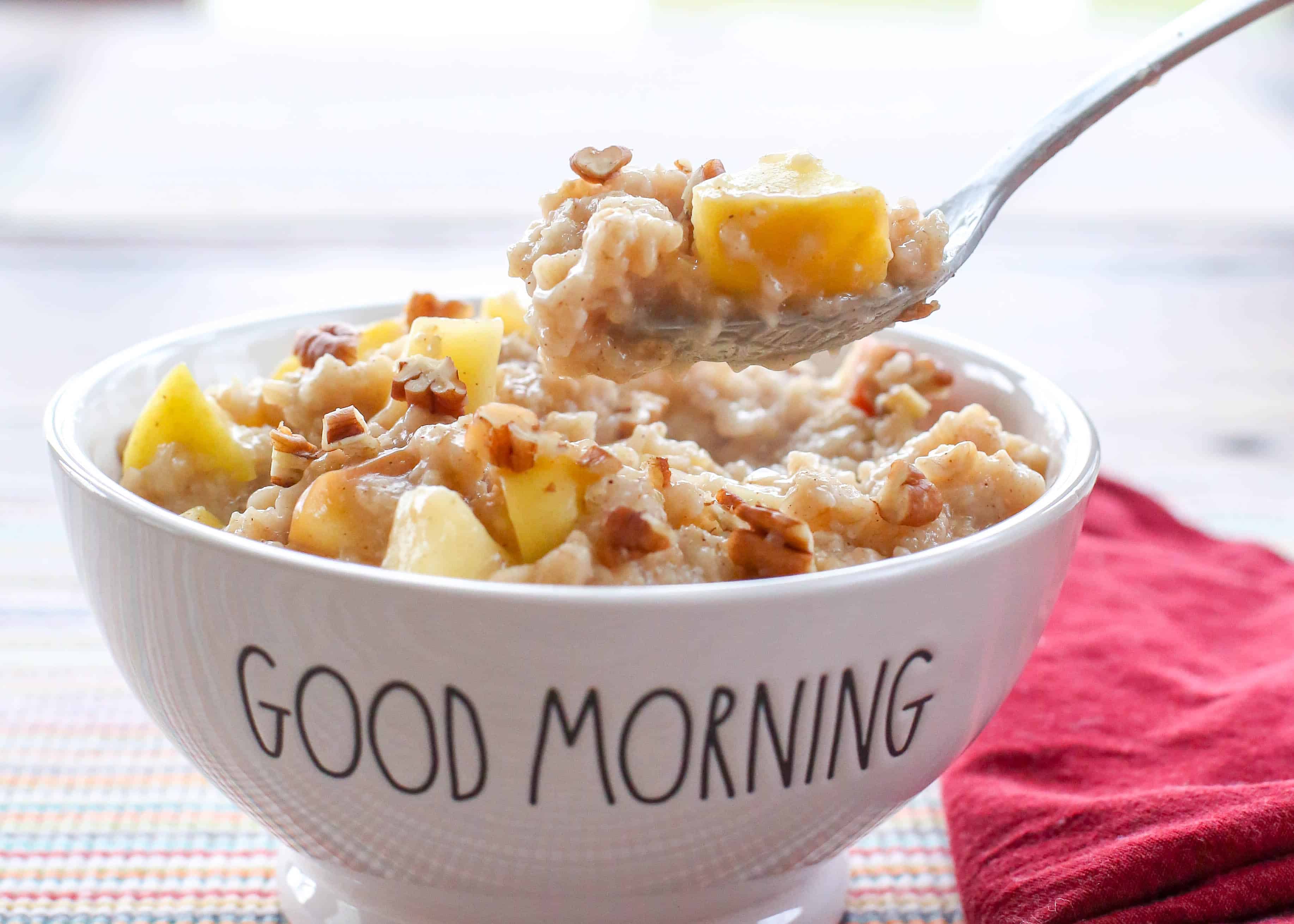 Easy Rice Cooker Oatmeal with Apples and Cinnamon - 31 Daily