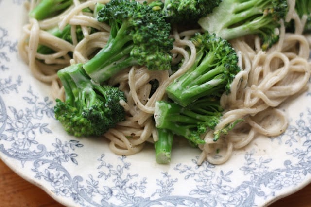 Broccoli Pasta in a Light Herb Cream Sauce recipe by Barefeet In The Kitchen