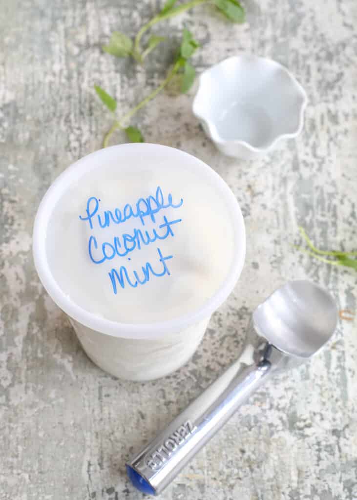 Pineapple Coconut Mint Ice Cream