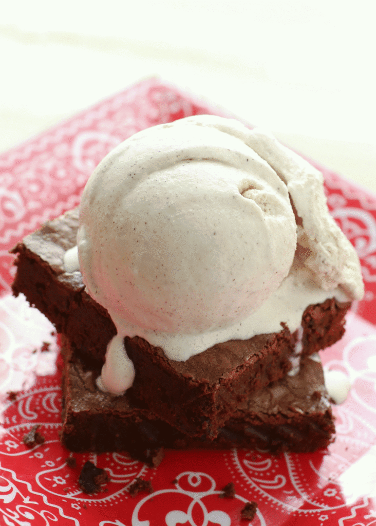 Easy Cinnamon Ice Cream - Philadelphia Style recipe by Barefeet In The Kitchen