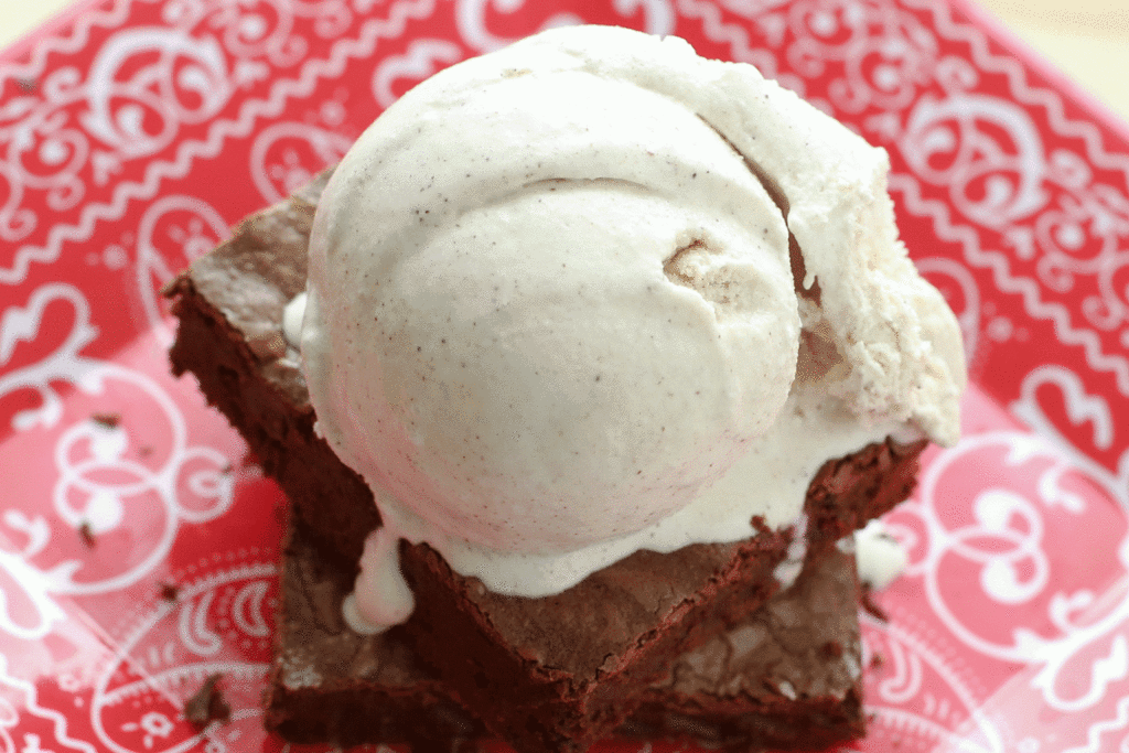 Cinnamon Ice Cream in 5 Minutes - Philadelphia Style recipe by Barefeet In The Kitchen