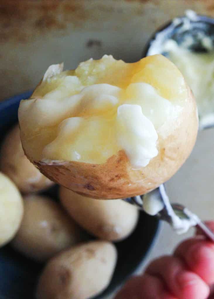 Salt Potatoes recipe by Barefeet In The Kitchen {the most perfect bite of potato I've ever tasted!}