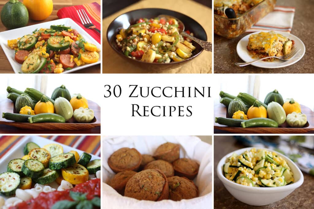 30 Must Try Zucchini Recipes - breads, breakfasts, main dishes, and sides! by Barefeet In The Kitchen