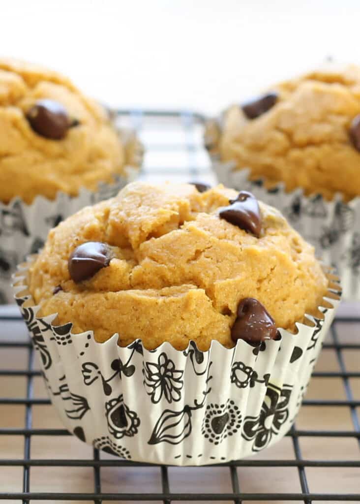 Chocolate Chip Pumpkin Muffins traditional and gluten free recipes by Barefeet In The Kitchen