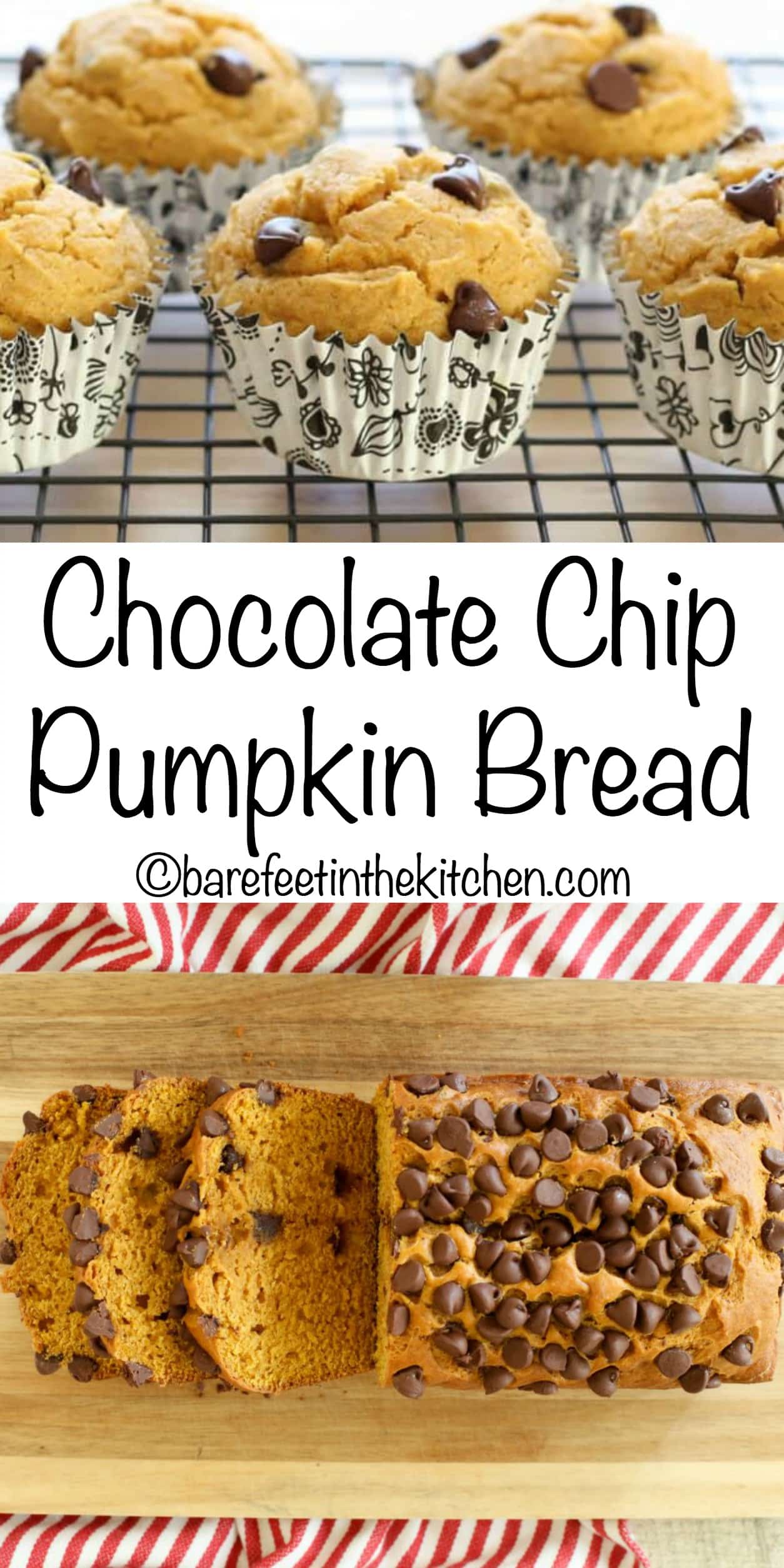 Pumpkin Chocolate Chip Muffins – Barefeet In The Kitchen