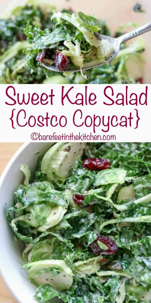 Copycat Costco Sweet Kale Salad
