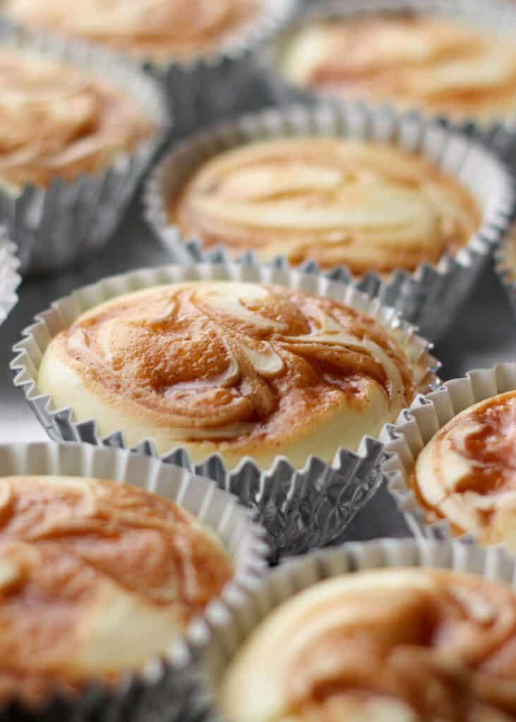 Caramel Swirl Cheesecake Cupcakes | get the recipe now at barefeetinthekitchen.com