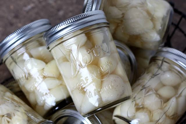 Kitchen Tip: How To Preserve Garlic recipe by Barefeet In The Kitchen