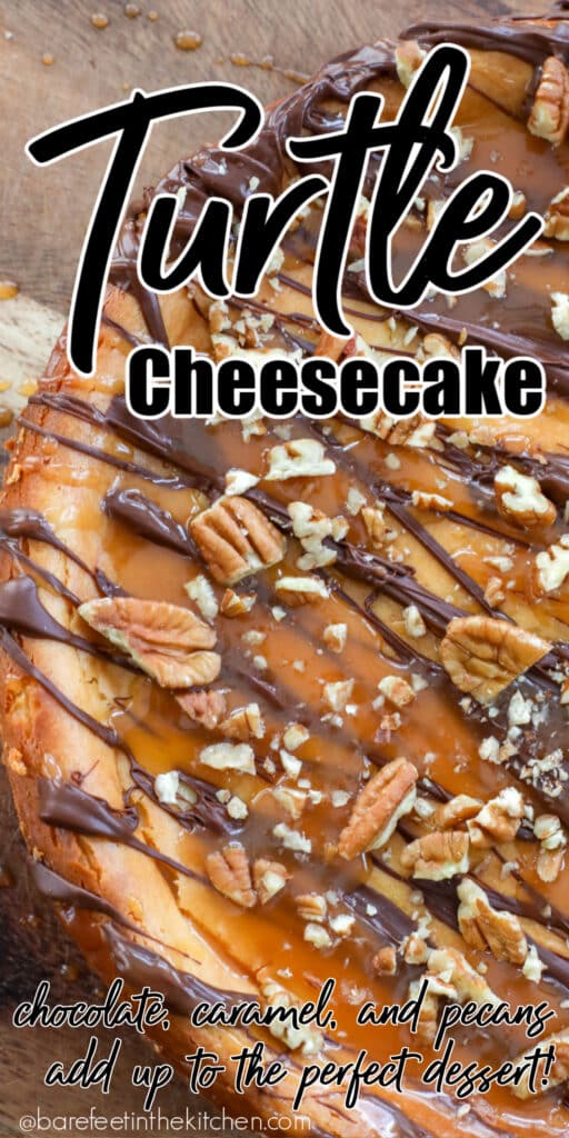 Turtle Cheesecake - a chocolate, caramel dream come true!