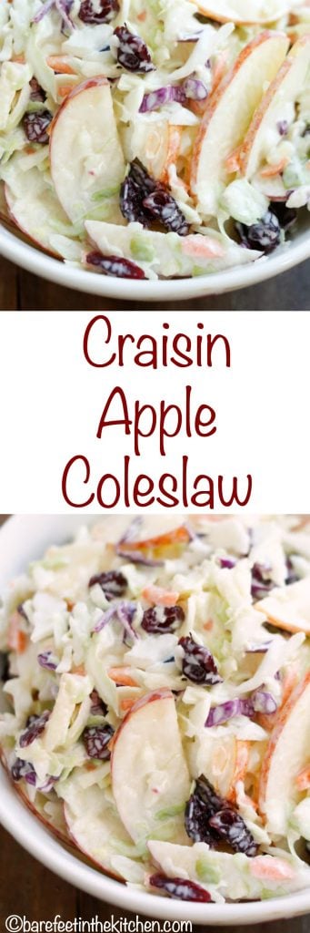 Sweet apples and cranberries are combined with crunchy cabbage and then tossed together in a tangy lemon dressing to make this Cranberry Apple Coleslaw. - get the recipe at barefeetinthekitchen.com