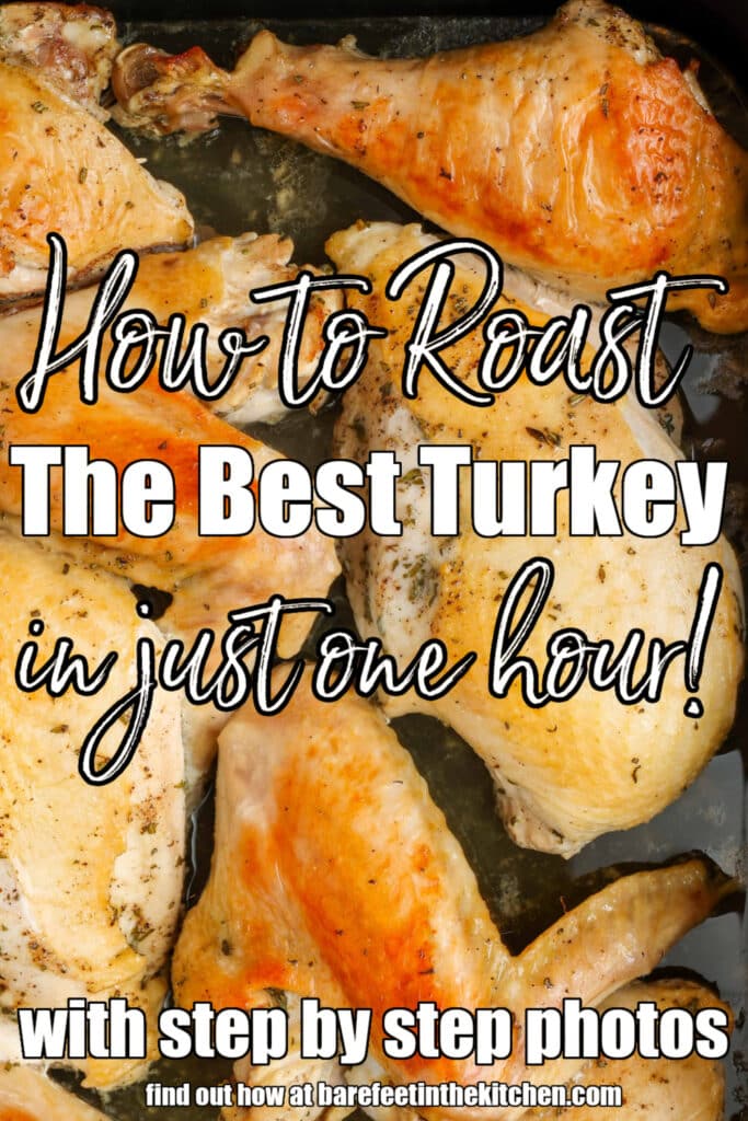 roast turkey parts in the pan
