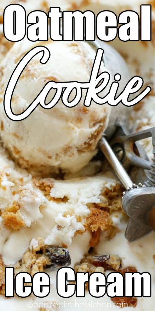 Oatmeal Cookie Ice Cream