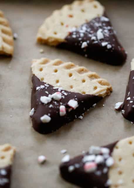 chocolate-candy-cane-shortbread-1-1-of-1