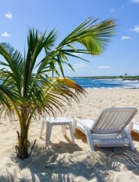 Things to do in Cozumel!