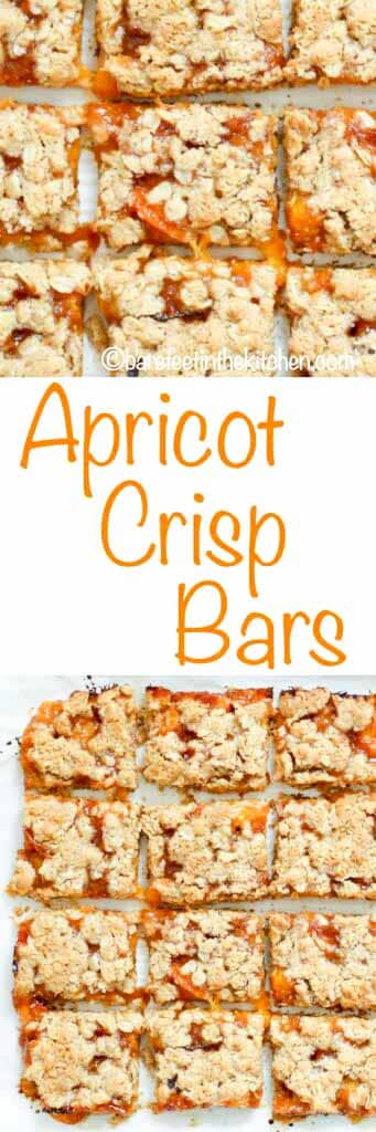Apricot Crisp Bars