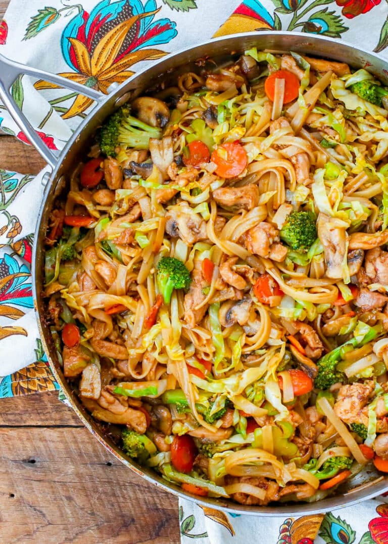 Stir Fry Noodles with Chicken and Vegetables - Barefeet in the Kitchen