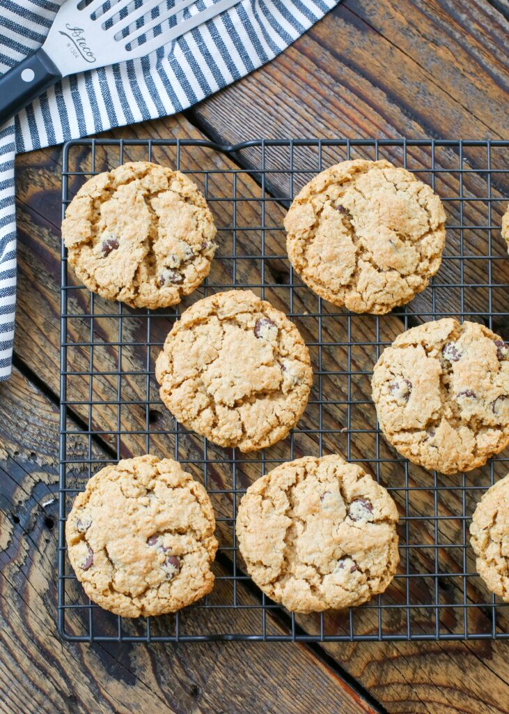 Chocolate Peanut Butter Oatmeal Cookies for Ice Surf Sandwiches