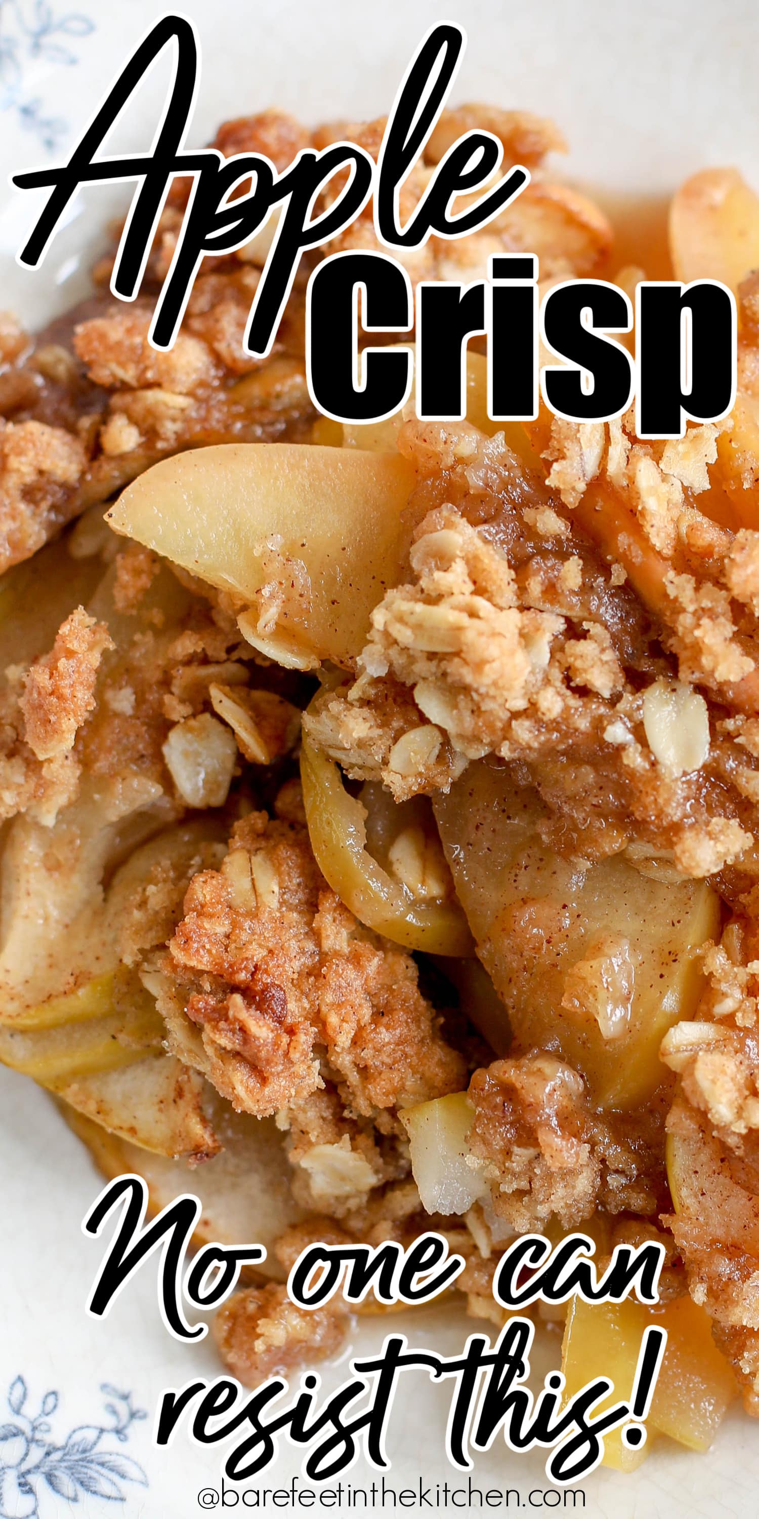 The BEST Apple Crisp Recipe - Food Dolls