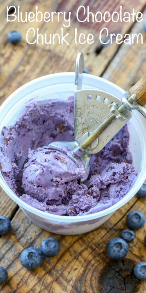 Best Ever Blueberry Ice Cream - get the recipe at barefeetinthekitchen.com