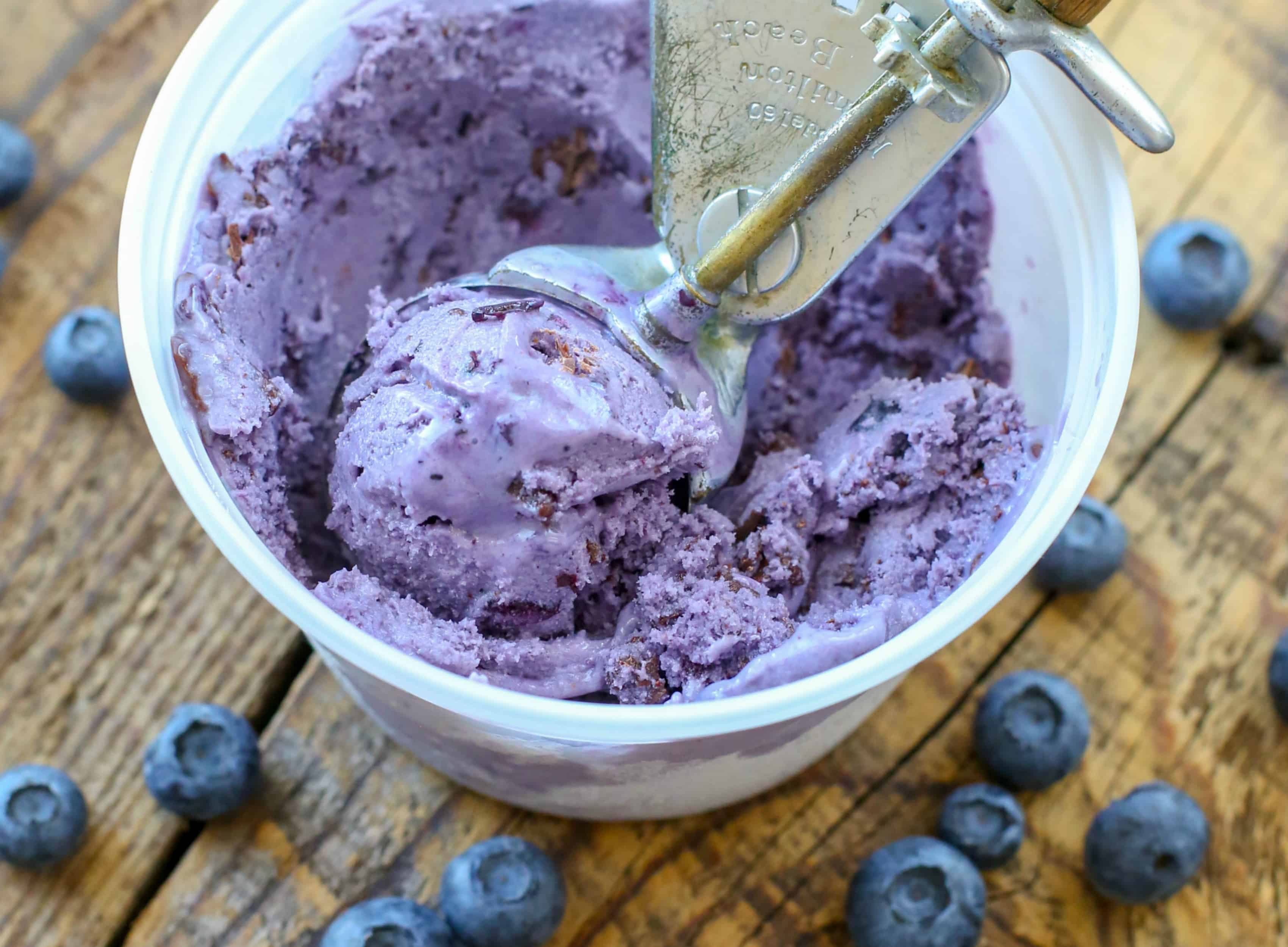 Blueberry Chocolate Chunk Ice Cream