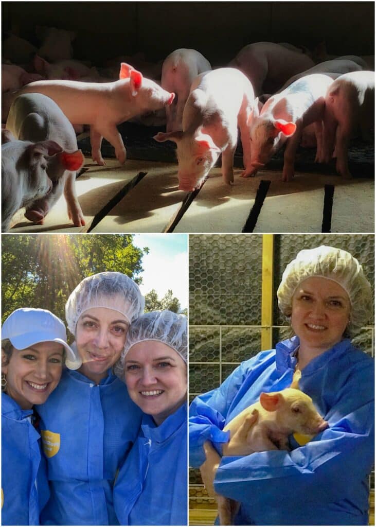 Visiting pig farms with the National Pork Board - read more at barefeetinthekitchen.com