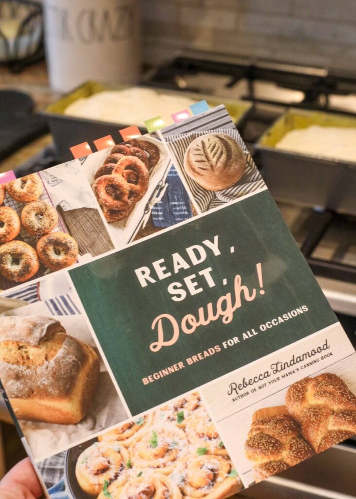 Ready Set Dough - the ultimate bread baking book