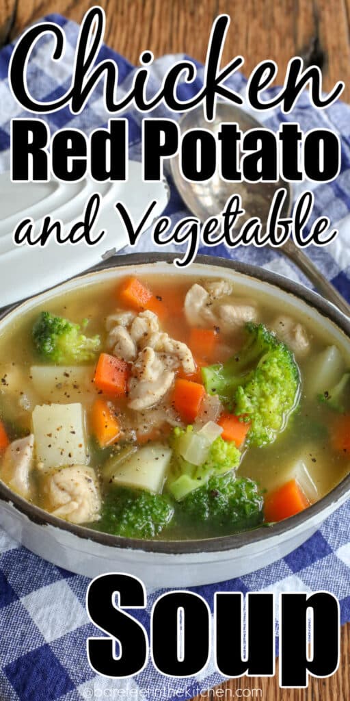 Homemade Chicken Soup with Red Potatoes and Vegetables