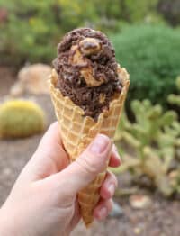 {Accidentally Vegan} Chocolate Peanut Butter Ice Cream - get the recipe at barefeetinthekitchen.com