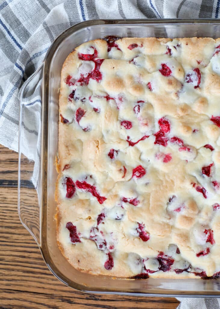 Cranberry Cake is the Christmas dessert that everyone loves.