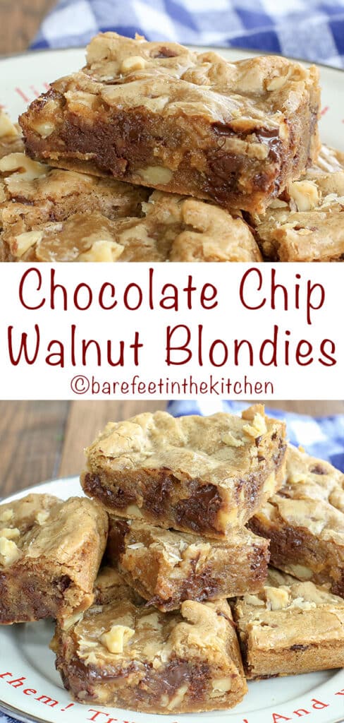 Chocolate Chip Blondie Recipe