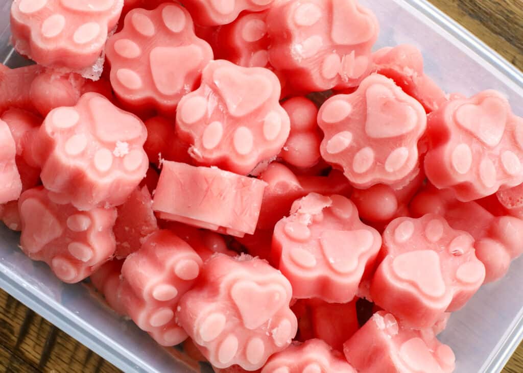 Watermelon Popsicles for Dogs