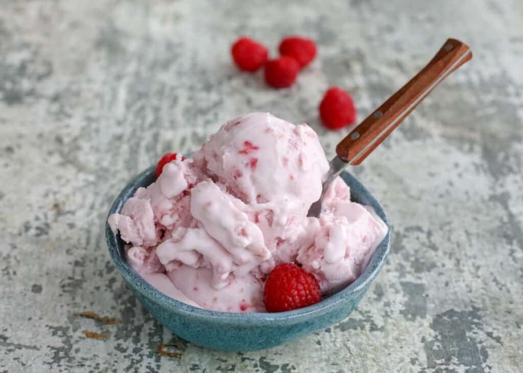 Homemade Raspberry Coconut Ice Cream