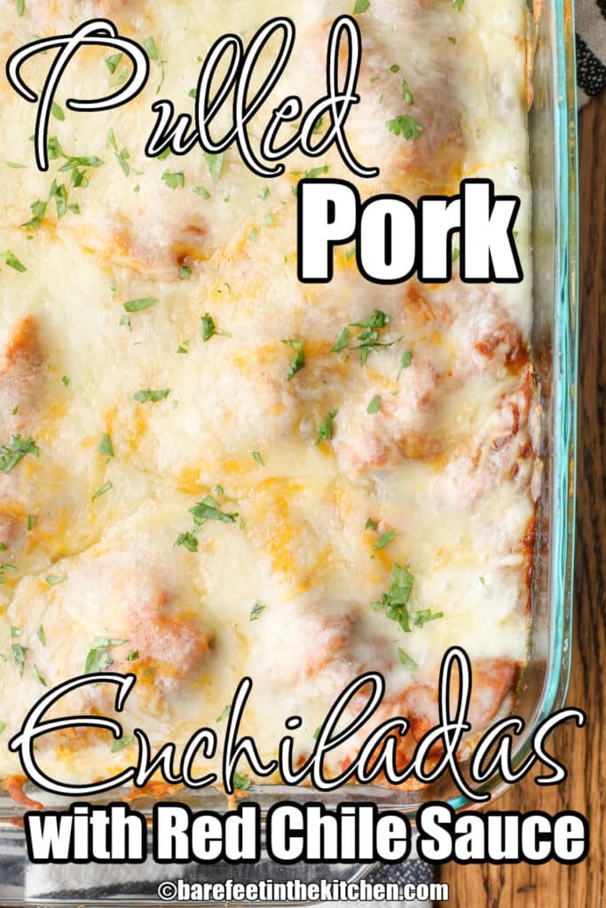 Pork Enchiladas Recipe