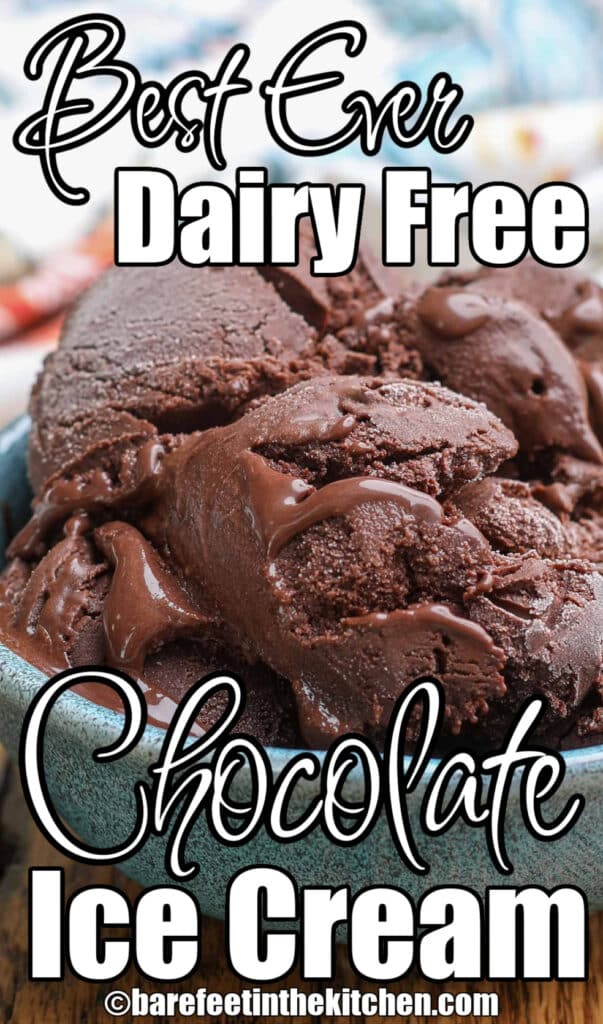Dairy Free Chocolate Oatmilk Ice Cream