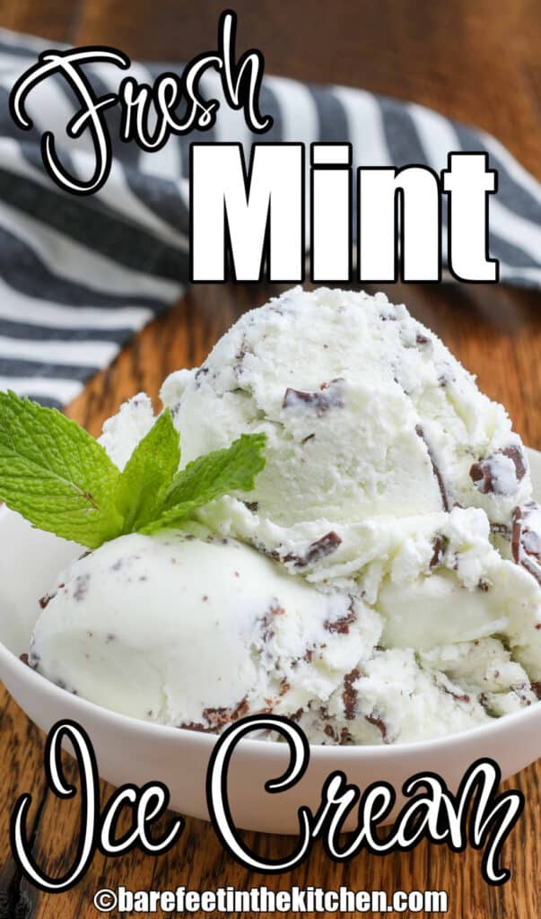Minz-Schokoladen-Stückchen-Eiscreme