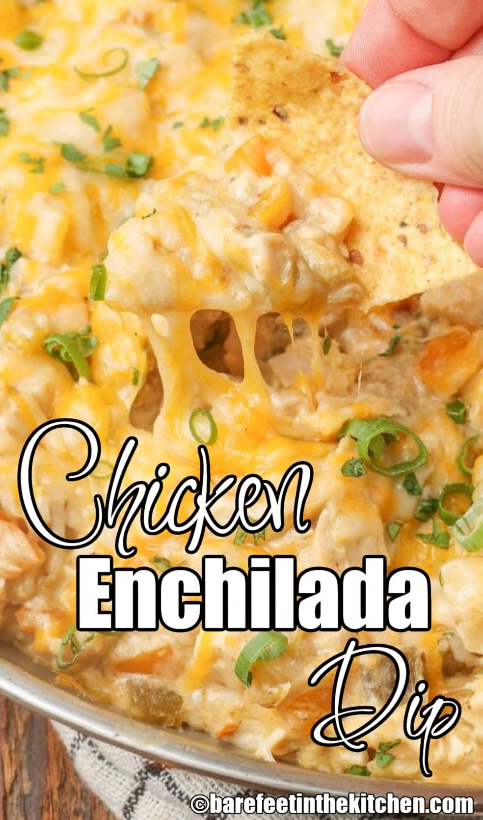 Chicken Enchilada Dip – Barefeet in the Kitchen