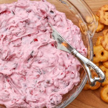 creamy cranberry dip with spreader and crackers surrounding it