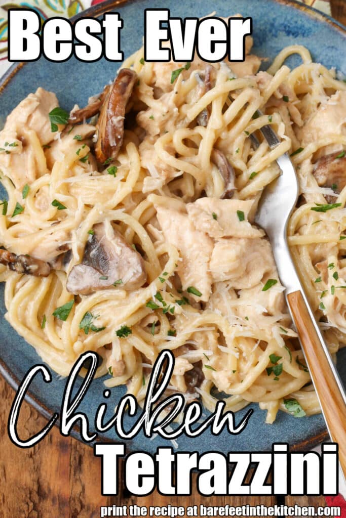 Creamy chicken noodles with mushrooms on a blue plate