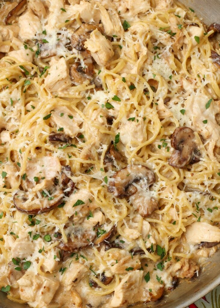 baked chicken noodles with mushrooms and cream sauce