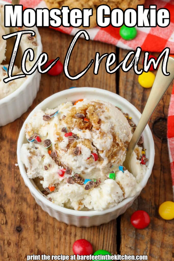Primo piano di Monster Cookie Ice Cream in una piccola ciotola bianca