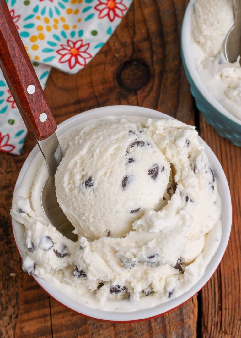 Chocolate Chip Ice Cream - Barefeet in the Kitchen