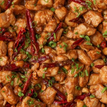 close up photo of Kung Pao Chicken