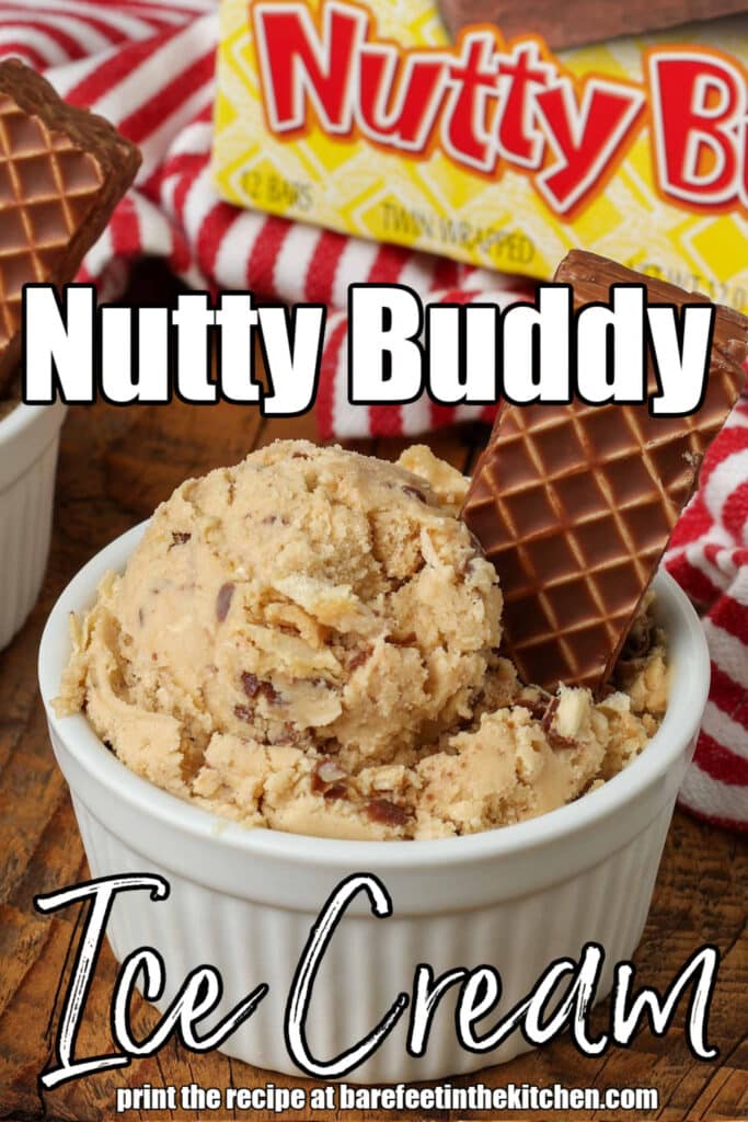 white text has been overlaid this image of a scoop of peanut butter ice cream with a nutty buddy bar sticking up out of the scoop. it reads: "Nutty Buddy Ice Cream"