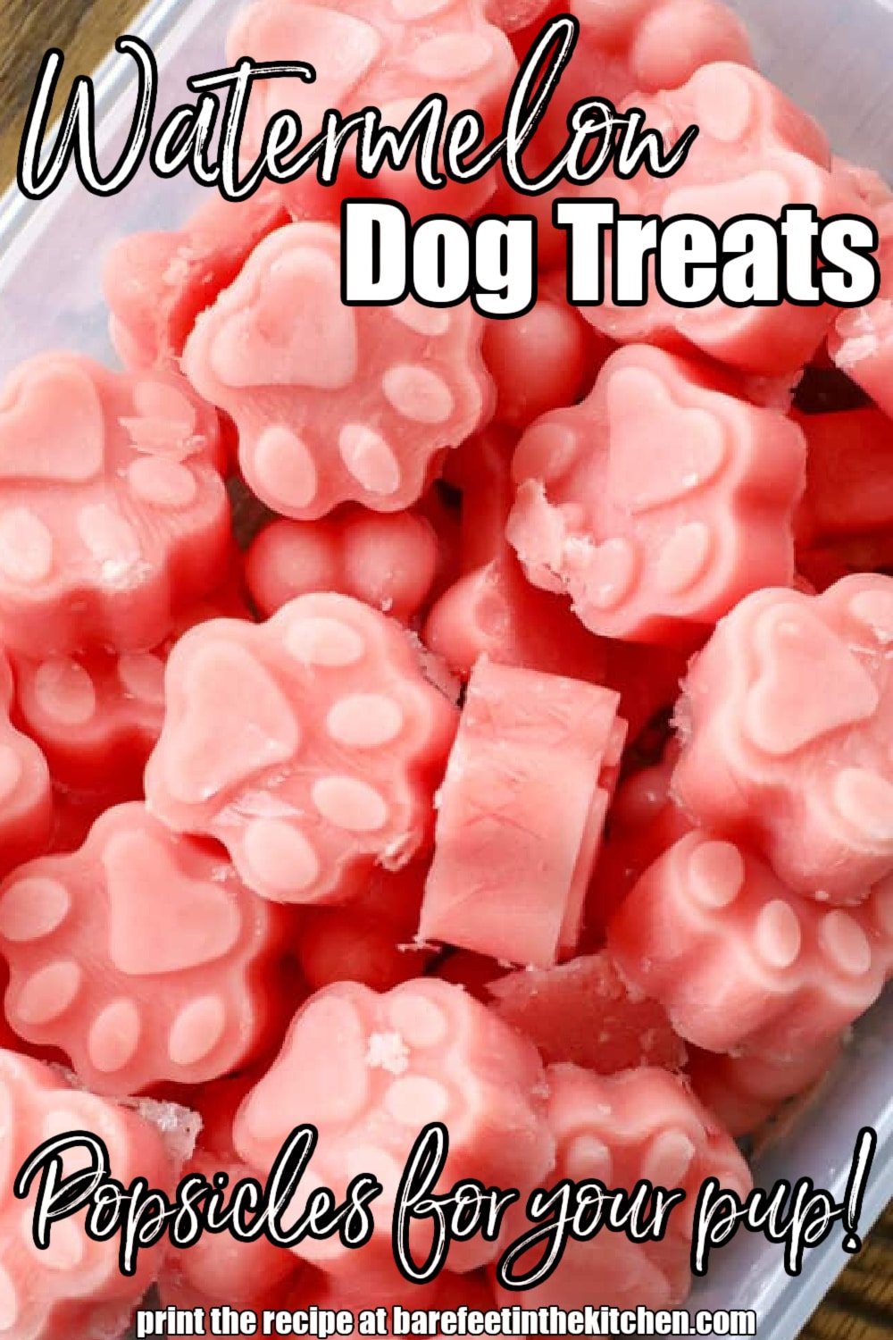Frozen Dog Treat - Dog Friendly Popsicles